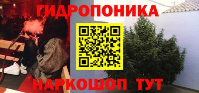 круглые Краснознаменск